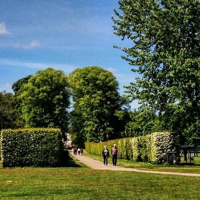 150524 couple walking hellerup