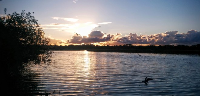 IMG_20150530_205445 (1)